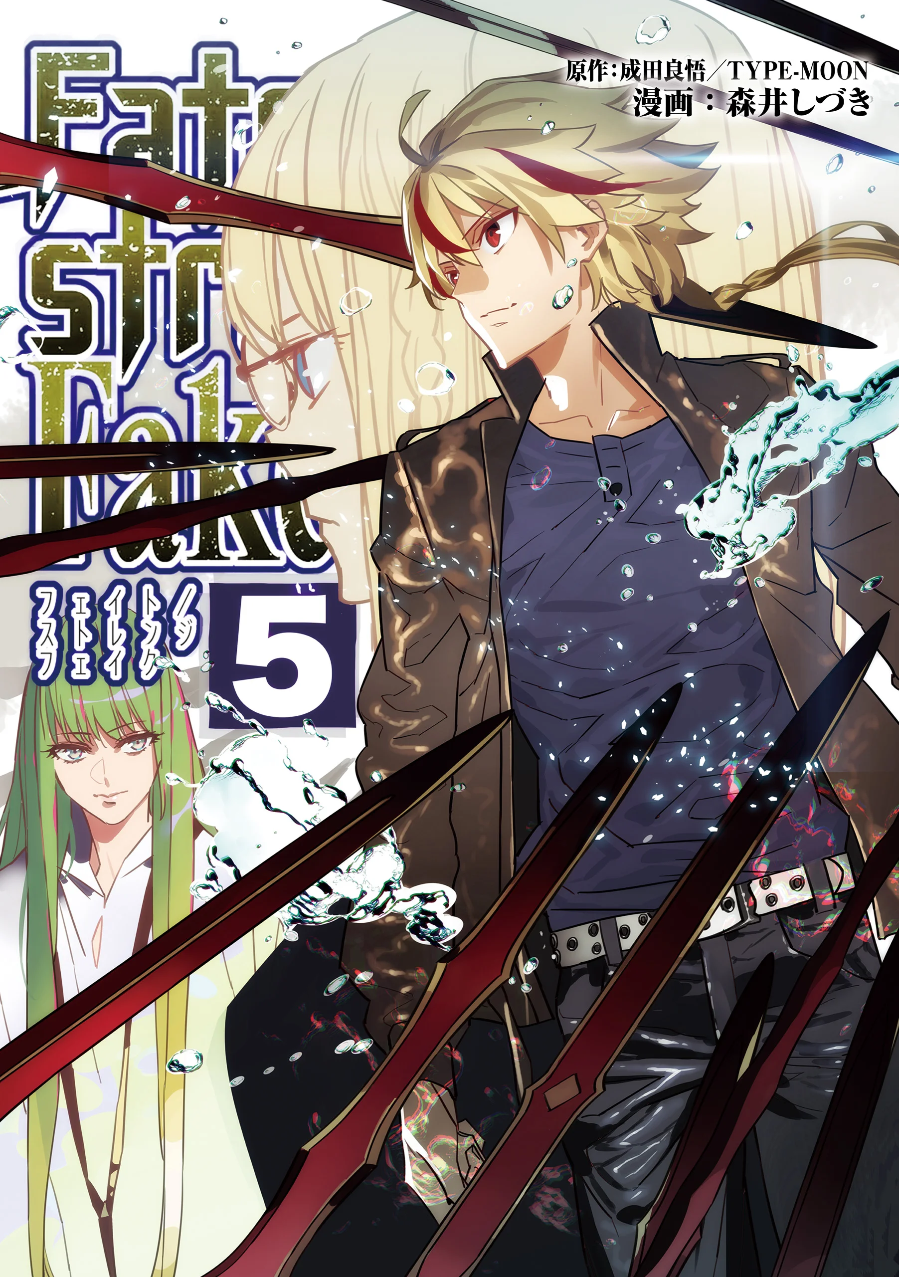 Fate Strange Fake